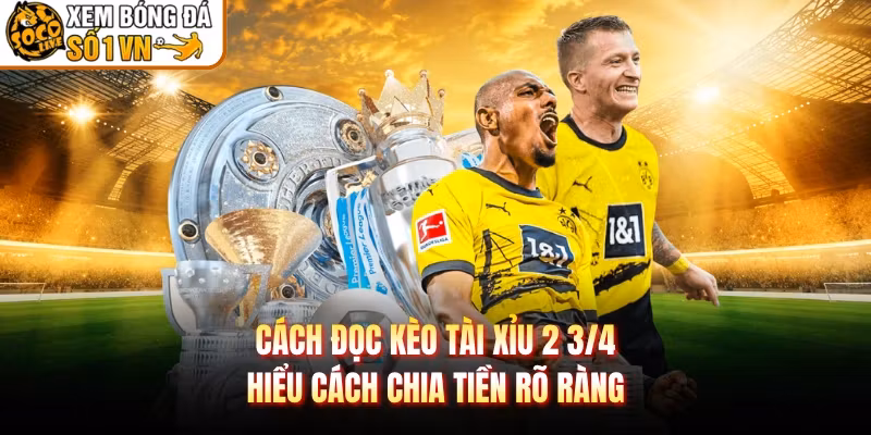 Cách Đọc Kèo Tài Xỉu 2 3/4 – Hiểu Cách Chia Tiền Rõ Ràng